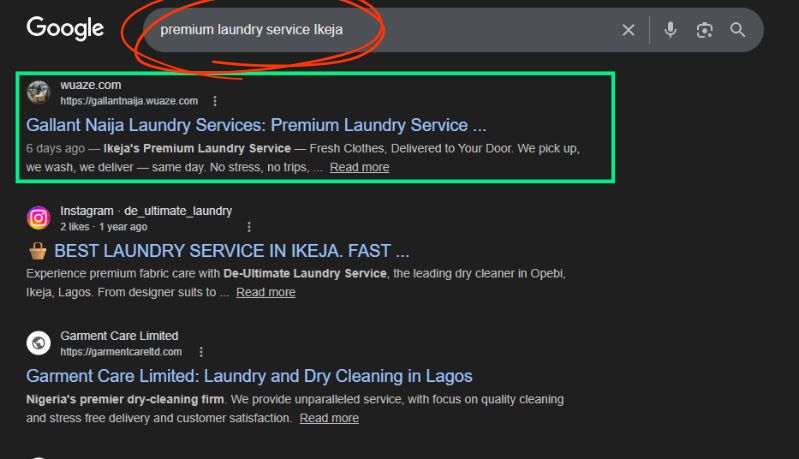 Gallant Naija Laundry Services ranking #1